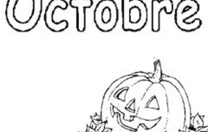 Planning octobre 2013