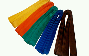 1er Open régional Kyus