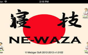 Stage départemental Jujitsu et Ne Waza