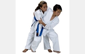 Trophée Mosellan de Judo par Equipes de clubs Minimes