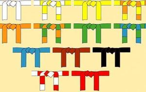 Assemblée générale et remise des ceintures