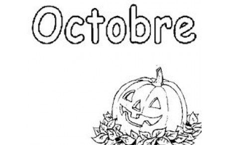 Planning octobre 2013