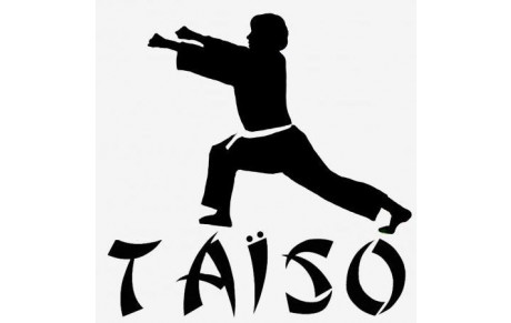 Stage de Taïso à Epinal