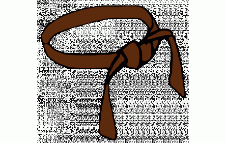 Les sportifs en forme