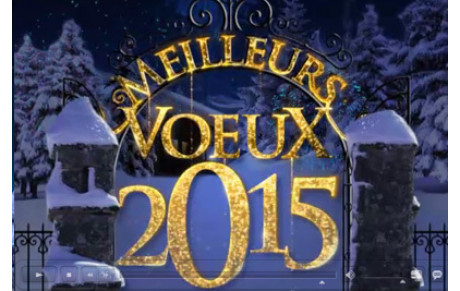 BONNE ANNÉE 2015