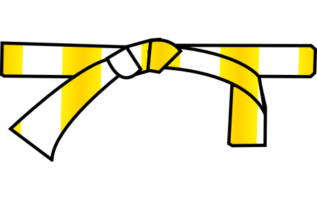 Aloïs change de couleur de ceinture