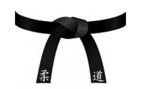 Remise de la ceinture noire de Simon