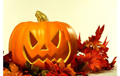 Vacances de la Toussaint