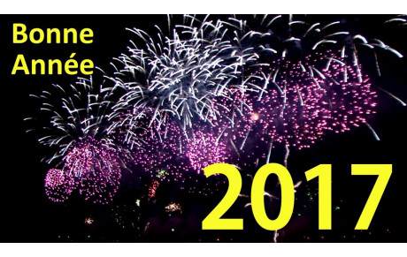 Bonne année 2017