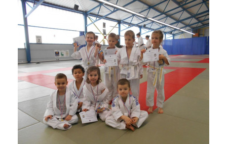 Animation baby-judo et stage d'arbitrage 21/01/2017