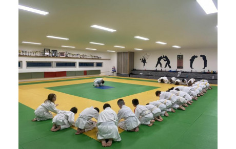 Stage de Judo à Golbey